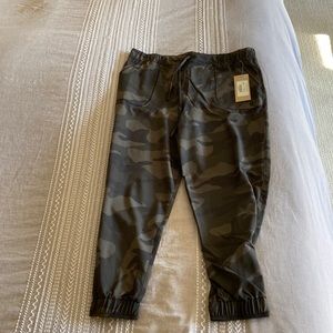 Albion Fit Jetsetters